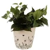 Clayre & Eef bloempot, diameter 21 cm, hoogte 20 cm, beige Productafbeelding-voorbeeld 2