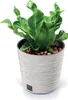 Prosperplast Blumentopf FURU Round Eco Wood Weiß 25 cm Produktbild-Vorschau 10