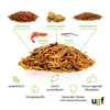 UGF Universal Schildkrötenfutter Mix 500g (3L Eimer) – Produktbild-Vorschau 7