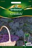 Grünkohl Scarlet | Grünkohlsamen von Quedlinburger Produktbild-Vorschau 1