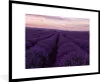 MuchoWow® Gerahmtes Poster Lavendel - Lila - Blumen - Natur Produktbild-Vorschau 1