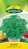 Quedlinburger Saatgut - Kerbel Commun - Samen - 418952 Produktbild-Vorschau 3