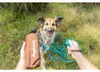 TRIXIE Easy Life Schleppleine - ozean - 10 m/13 mm Produktbild-Vorschau 2