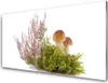 Acrylglasbilder 100x50 Wandbild Druck Pilze Pflanzen Produktbild-Vorschau 1