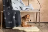 David Fussenegger Hundedecke 'my best friend/Knochen Produktbild-Vorschau 2