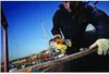 DeWalt DCS334NT-XJ Akku-Pendelhub-Stichsäge Produktbild-Vorschau 20