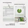 Rucola Samen (Eruca sativa, 500 Korn) - Rauke Saatgut aus Produktbild-Vorschau 6