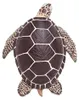 Safari Ltd Sea Turtle Brown One Size Produktbild-Vorschau 3