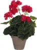 Mica Decorations Geranien Kunstpflanze im Blumentopf Stan - Produktbild-Vorschau 1