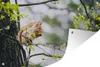 MuchoWow® Produktbild-Vorschau 1