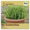 Samenliebe  Zuckerebse Samen | Norli - fadenlos & kompakt & Produktbild-Vorschau 1