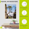 ARTland Poster Felsen Bäume Sächsische Schweiz I Größe: Produktbild-Vorschau 2