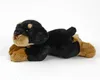 A plush toy dog lying down on a white background. Produktbild-Vorschau