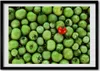 Bild - Bilder - Bilderrahmen - 70 cm x 50 cm - MDF-Rahmen, Produktbild-Vorschau 1