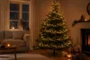 Kaemingk Lumineo Guirlande lumineuse Compact 500 LED Voir les images du produit 19