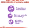Royal Canin Sterilised 37, Dorosły, 10 kg Podgląd zdjęcia produktu 2