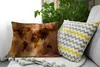 MuchoWow® Zierkissen Sofakissen Wohnzimmer Dekokissen 60x40 Produktbild-Vorschau 2