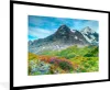 MuchoWow® Gerahmtes Poster Blumenwiese in den Schweizer Produktbild-Vorschau 1