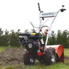 HECHT 750 Motorhacke Benzin 50 cm Arbeitsbreite 34 cm Produktbild-Vorschau 10