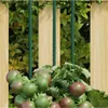 vidaXL Plant podporuje 30 ks. Zelené 60 cm Oceľové Náhľad obrázku produktu 2