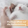 Felisept Wundgel für Katzen 20ml Produktbild-Vorschau 3