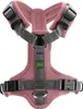 HUNTER Geschirr Maldon Altrosa/Grau XS Produktbild-Vorschau 13