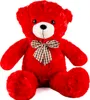 A studio shot of a red teddy bear. Podgląd zdjęcia produktu