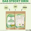 Gerstengrassaft Pulver (250 g XL Vorrat) mit Chlorophyll Produktbild-Vorschau 3