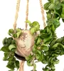 BioCoco Pot Vaso in cocco per orchidee epifite Anteprima dell’immagine prodotto 3