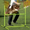 A dog jumping over an agility hurdle during a training session. Produktbild-Vorschau