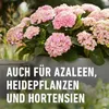 Hnojivo pre rododendrony s dlhodobým účinkom 0.85KG COMPO. Náhľad obrázku produktu 5