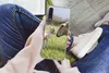 MuchoWow® Handyhülle Schutzhülle Hülle für Samsung Galaxy Produktbild-Vorschau 3