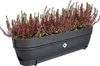 elho® Vibia campana Pflanzkasten Anthrazit 70 cm mit Halter Produktbild-Vorschau 2