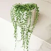 Erbsenpflanze - Senecio rowleyanus - Höhe 10-20cm - ⌀12cm Produktbild-Vorschau 5