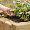 SUBSTRAL® Naturen®concime per giardino 1,7 kg per un Anteprima dell’immagine prodotto 3