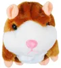 Sprechender Hamster Interaktives Plüschtier Nachsprech Produktbild-Vorschau 6