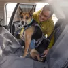 Ruffwear Load Up™ Samochodowe szelki bezpieczeństwa | Podgląd zdjęcia produktu 4