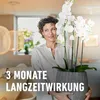Düngestäbchen COMPO für Orchideen 20 St Produktbild-Vorschau 8