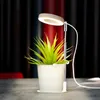 A small potted plant with green leaves sits on a gray surface, illuminated by a ring-shaped LED grow light. Náhľad obrázku produktu