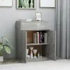 A grey cabinet with open doors, displaying books and decorative items. There are also framed pictures and a plant in the background. Anteprima dell’immagine prodotto