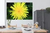 MuchoWow® Poster Makro - Sonnenblume - Gelb 180x120 cm - Produktbild-Vorschau 3