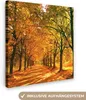 MuchoWow® - Leinwandbilder - Wald - Herbst - Jahreszeiten - Produktbild-Vorschau 1
