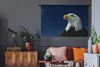MuchoWow® Wandteppich Wandbehang Ein Weißkopfseeadler Produktbild-Vorschau 5