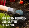 Gartendünger COMPO  Blaudünger 4 kg, Universaldünger Produktbild-Vorschau 6