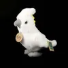 Peluche Cacatoès Perroquet 17 Cm Ecologique Voir les images du produit 3