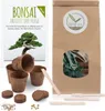 Kit di avviamento per bonsai con eBook  - Set di vasi di Anteprima dell’immagine prodotto 3