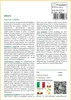 SAFLAX  - Alloro - 6 semi - Laurus Anteprima dell’immagine prodotto 3