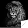 MuchoWow® Poster Löwe - Augen - Orange - Schwarz und weiß - Produktbild-Vorschau 1