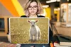 MuchoWow® Laptop Aufkleber Sticker Cover Lamm - Gras - Produktbild-Vorschau 5
