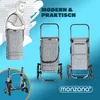 A marketing image showcasing a gray shopping trolley with various views and a person illustration. Anteprima dell’immagine prodotto
